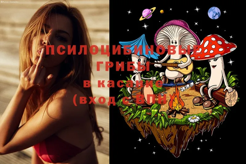 Псилоцибиновые грибы Psilocybe  Лодейное Поле 